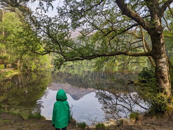 PXL_20240512_152856084