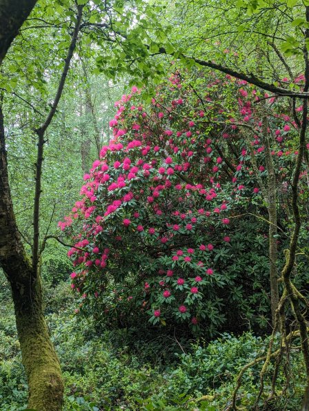 PXL_20240512_155558814