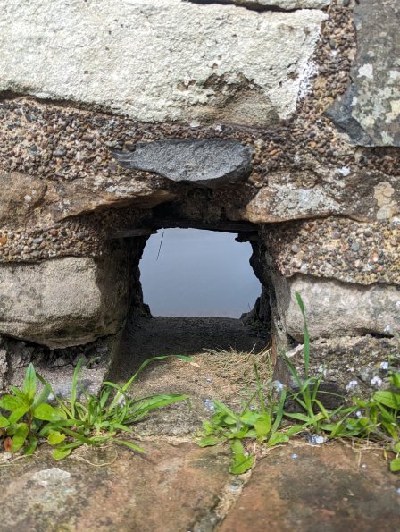 PXL_20240515_105518961