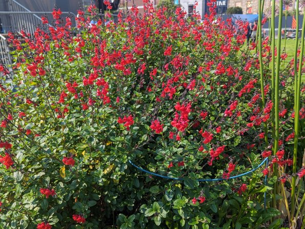 PXL_20240521_095140545