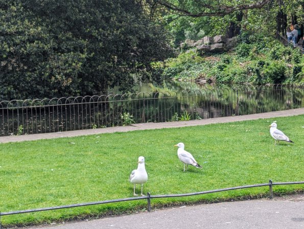 PXL_20240521_120556724